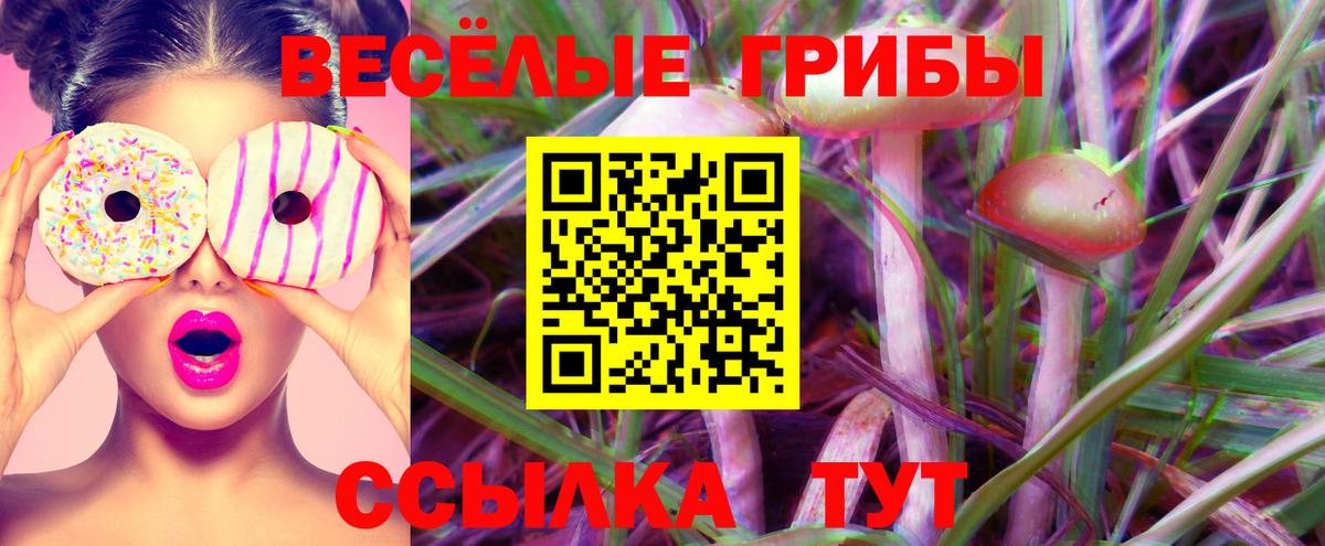 Мытищи  наркошоп  Вход с VPN  Галлюциногенные грибы Cubensis 